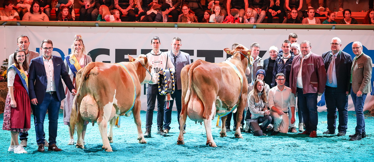 Champion Alt HARIBO-Tochter BLEAMERL vom Betrieb Zeller Theresia und Josef in Hainfeld und Reserve-Champion Alt GS VIADUKT-Tochter OMEGA vom Betrieb Ratzberger Gertraud und Johann, St. Peter/Au