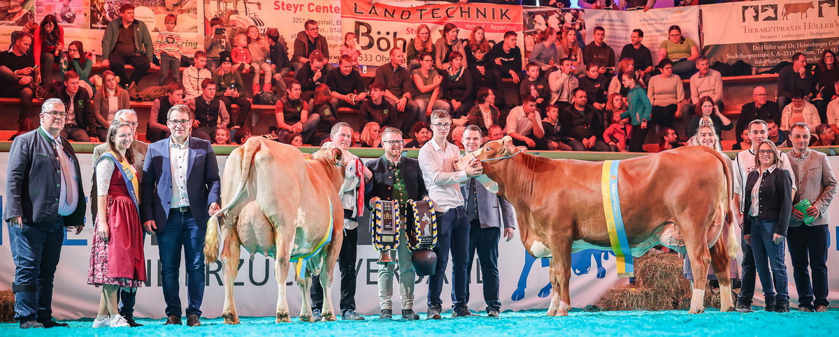 Fleckvieh-Finale mittel: Champion SCS SUMSI (V: Riaza) von Scharner Katharina u. Josef aus Scheibbs (li.) und Reservechampion SIMONA P Pp* (V: GS Hoeri) vom Milchhof Steiner aus Hernstein (re.)