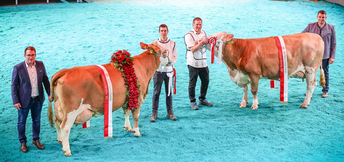 Fleckvieh Grand-Champion HARIBO-Tochter BLEAMERL vom Betrieb Zeller Theresia und Josef in Hainfeld und Reserve-Grand-Champion RIAZA-Tochter SCS SUMSI vom Betrieb Scharner Katharina und Josef in Scheibbs