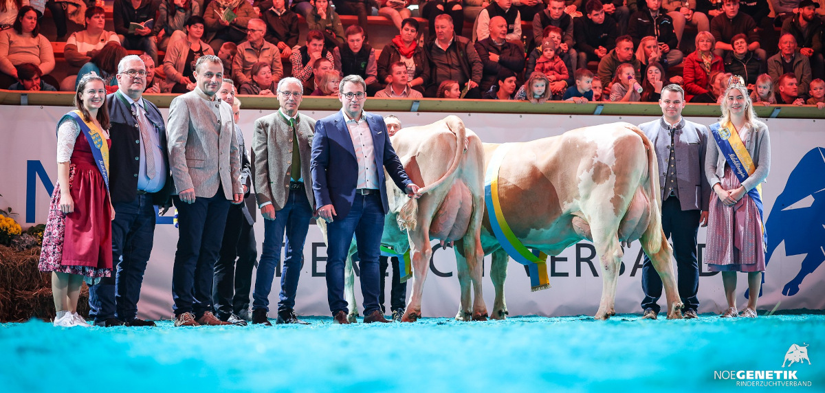 Champion Jung: GS HOERI-Tochter ANJA (links) und Reserve-Siegerin Jung MILFORD P*S-Tochter BEATE Pp* (rechts)