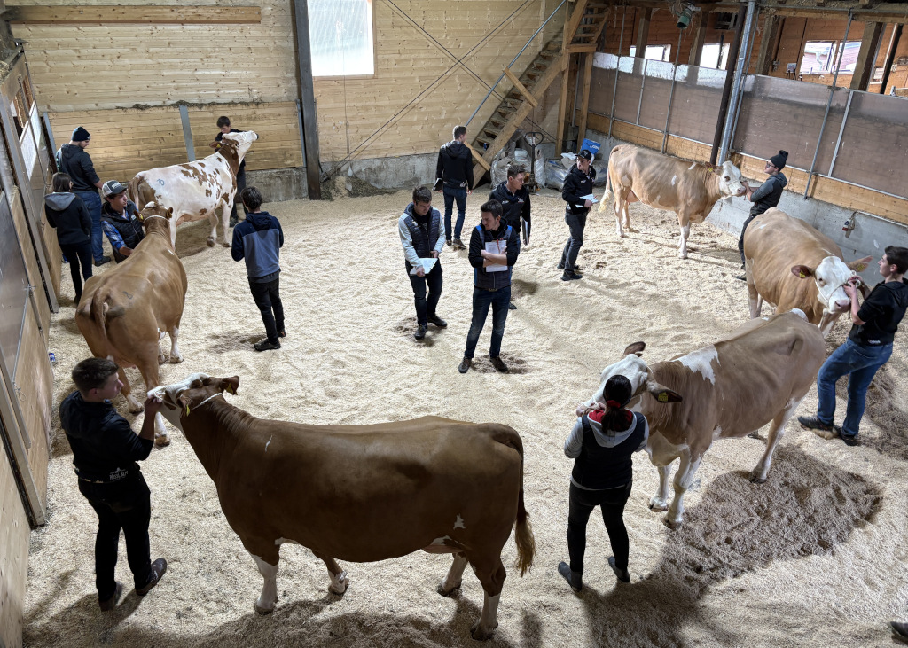 Möglichst realistische Bedingungen konnten den Teilnehmern geboten werden Möglichst realistische Bedingungen konnten den Teilnehmern geboten werden