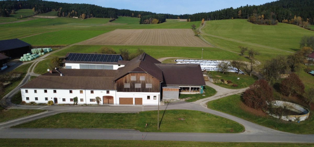 Der Hof der Familie Wimberger liegt auf 720 m Seehöhe
