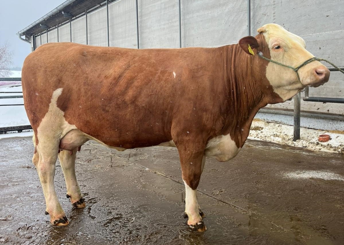 GS MR MAX Pp-Tochter ZV Rottenbach 14.01.2026