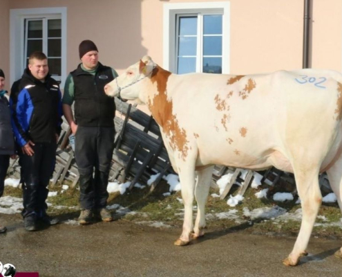 Kat.Nr. 302 (V. Power Red) Mayr Georg, ZV Maishofen 15.01.2026