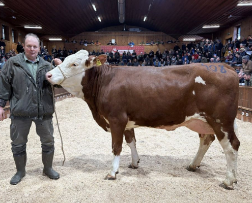 MAZZE-Tochter ZV Rotholz 28.01.2026