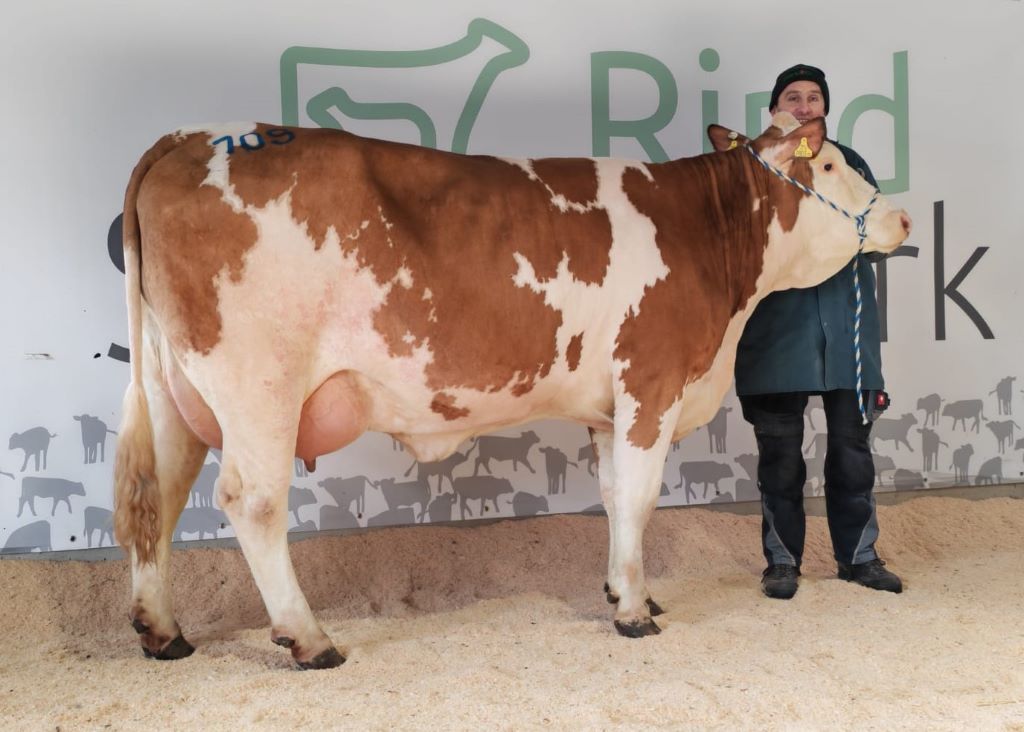 SIDO Tochter HOLLE von Puste