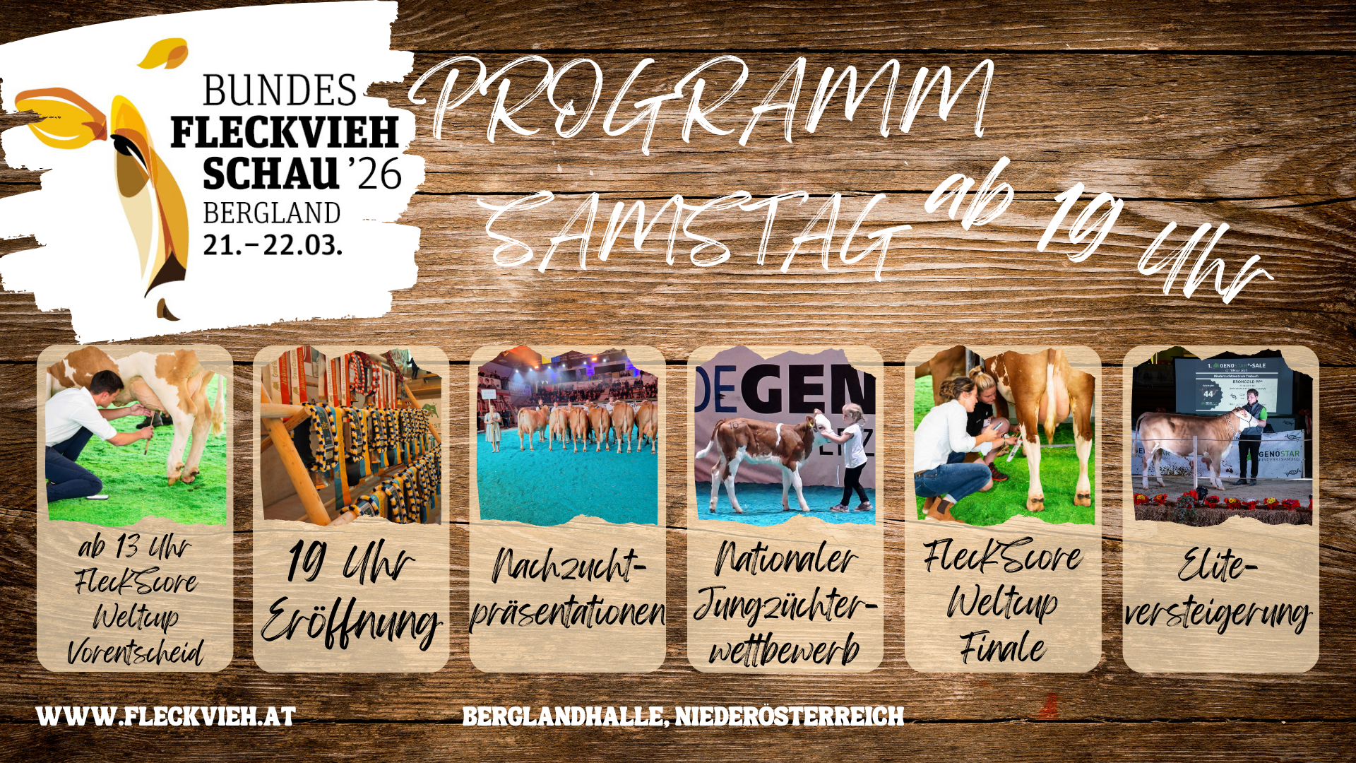 Bundesfleckviehschau 2026: Programm Samstag