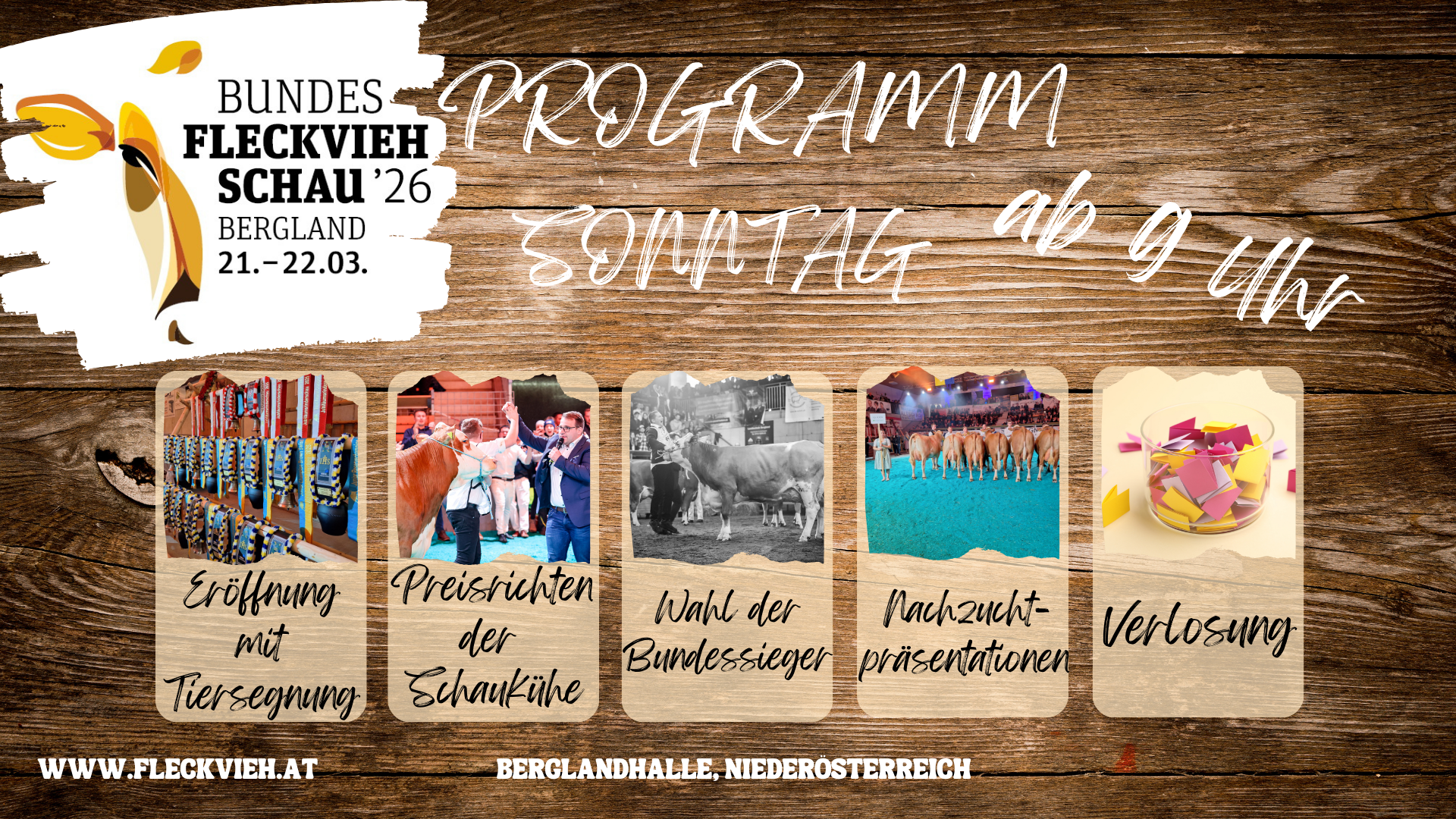 Bundesfleckviehschau 2026: Programm Sonntag