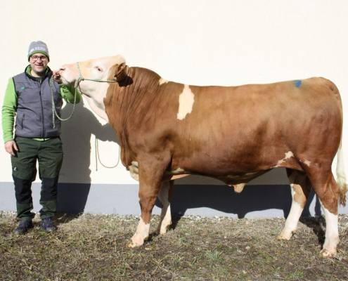 GS MACH MIT Pp-Sohn ZV St. Donat 17.02.2026