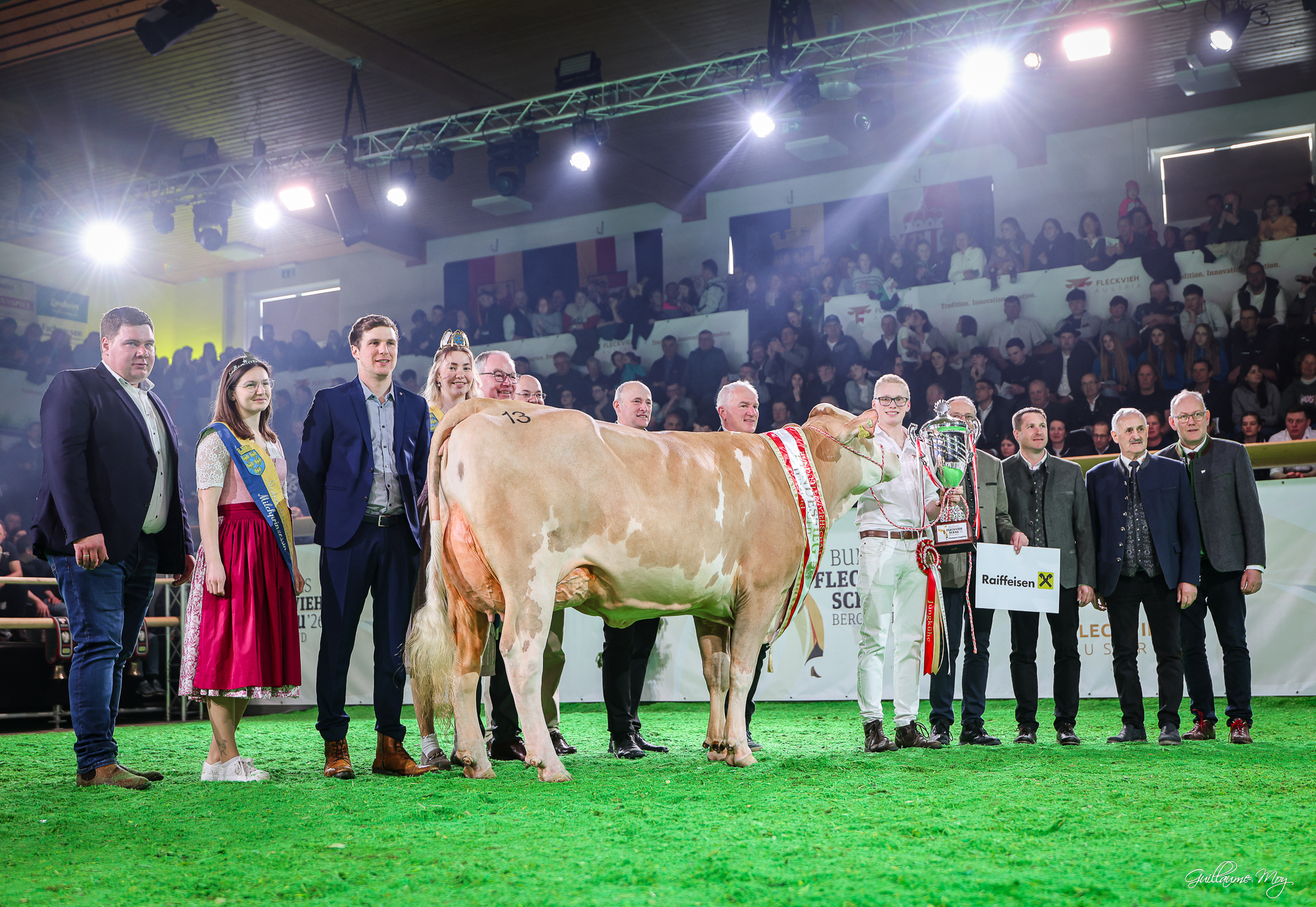 Champion Jungkühe: Kat 13 SHIRLEY Pp* (V: Mahomes) von Hörmandinger Alexander, Peuerbach, FIH