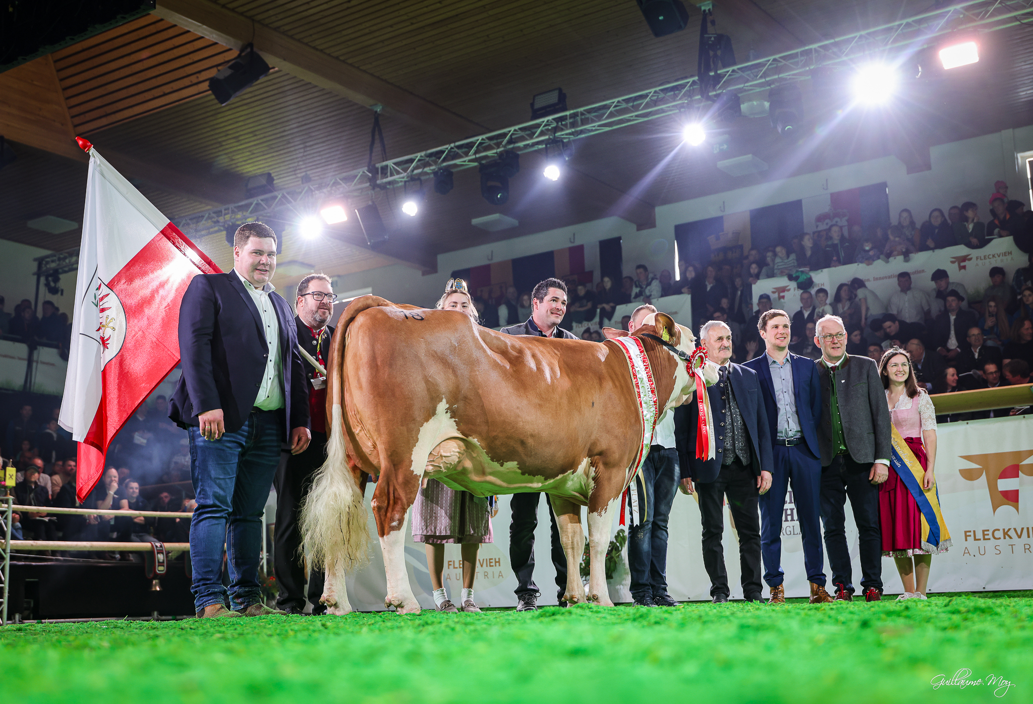 Reserve-Champion Jungkühe: Kat.Nr. 18, ROSANNA (V: GS Deluxe) von Auer Franz, Wildschönau, RZT