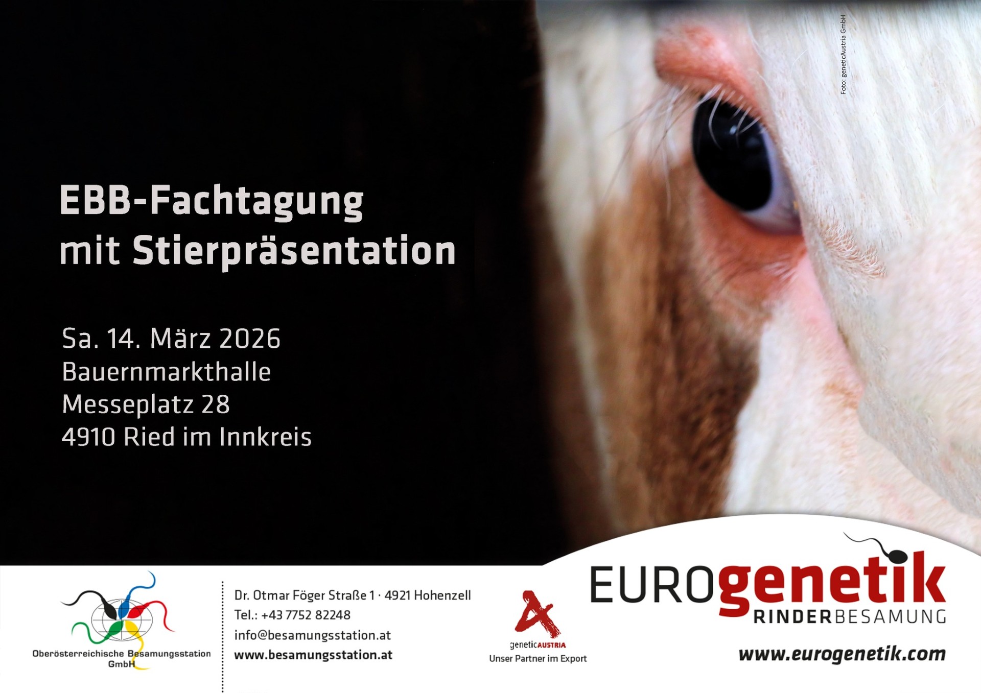 EUROgenetik Rinderbesamung