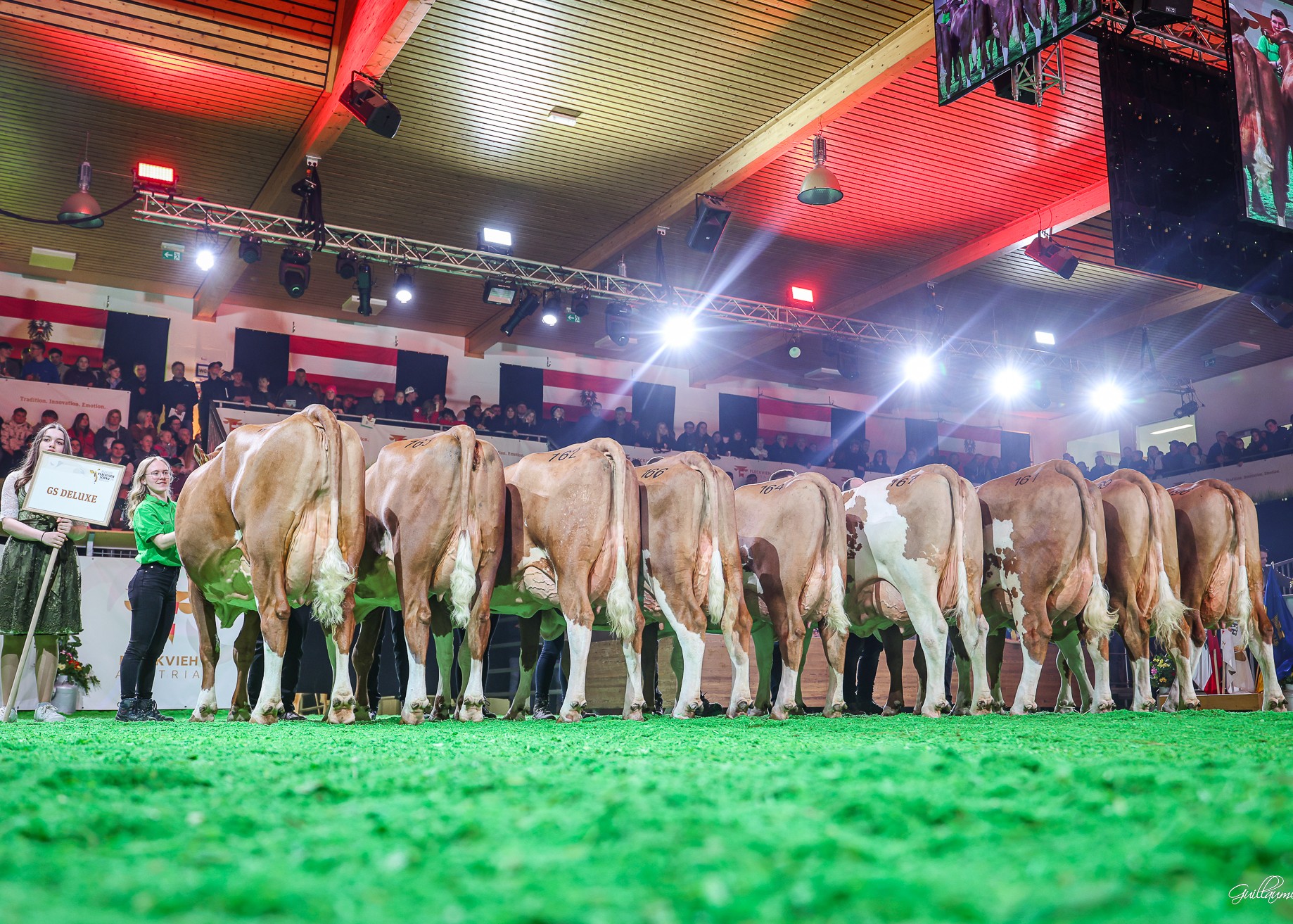 Nachzuchtgruppe GS DELUXE