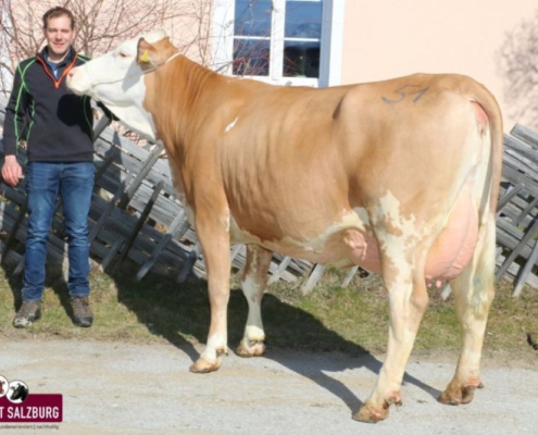 HERMELIN-Tochter ZV Maishofen 05.03.2026