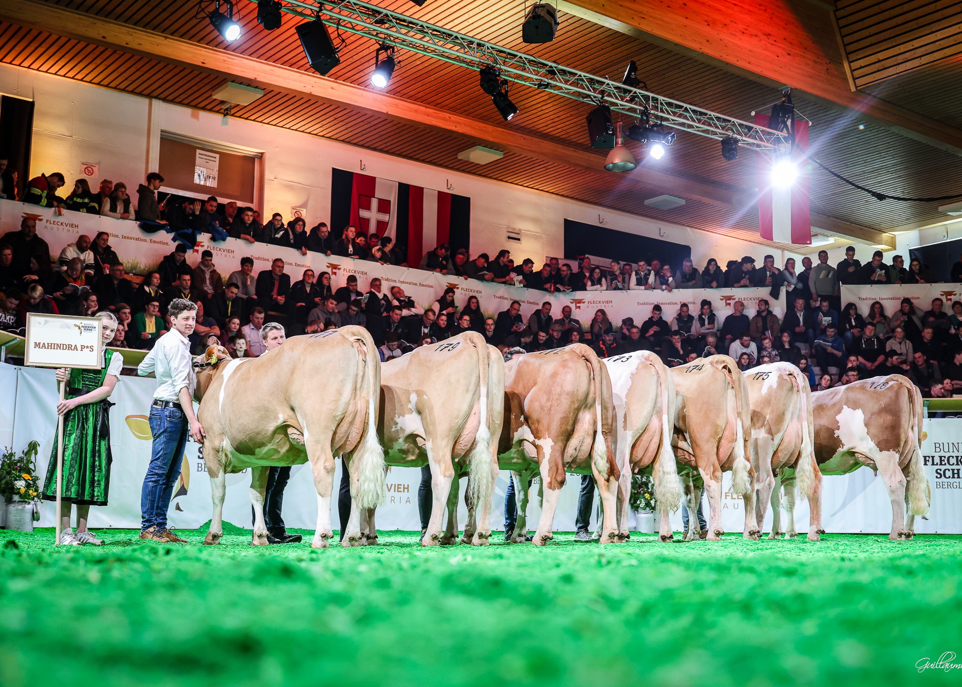 Nachzuchtgruppe MAHINDRA P*S