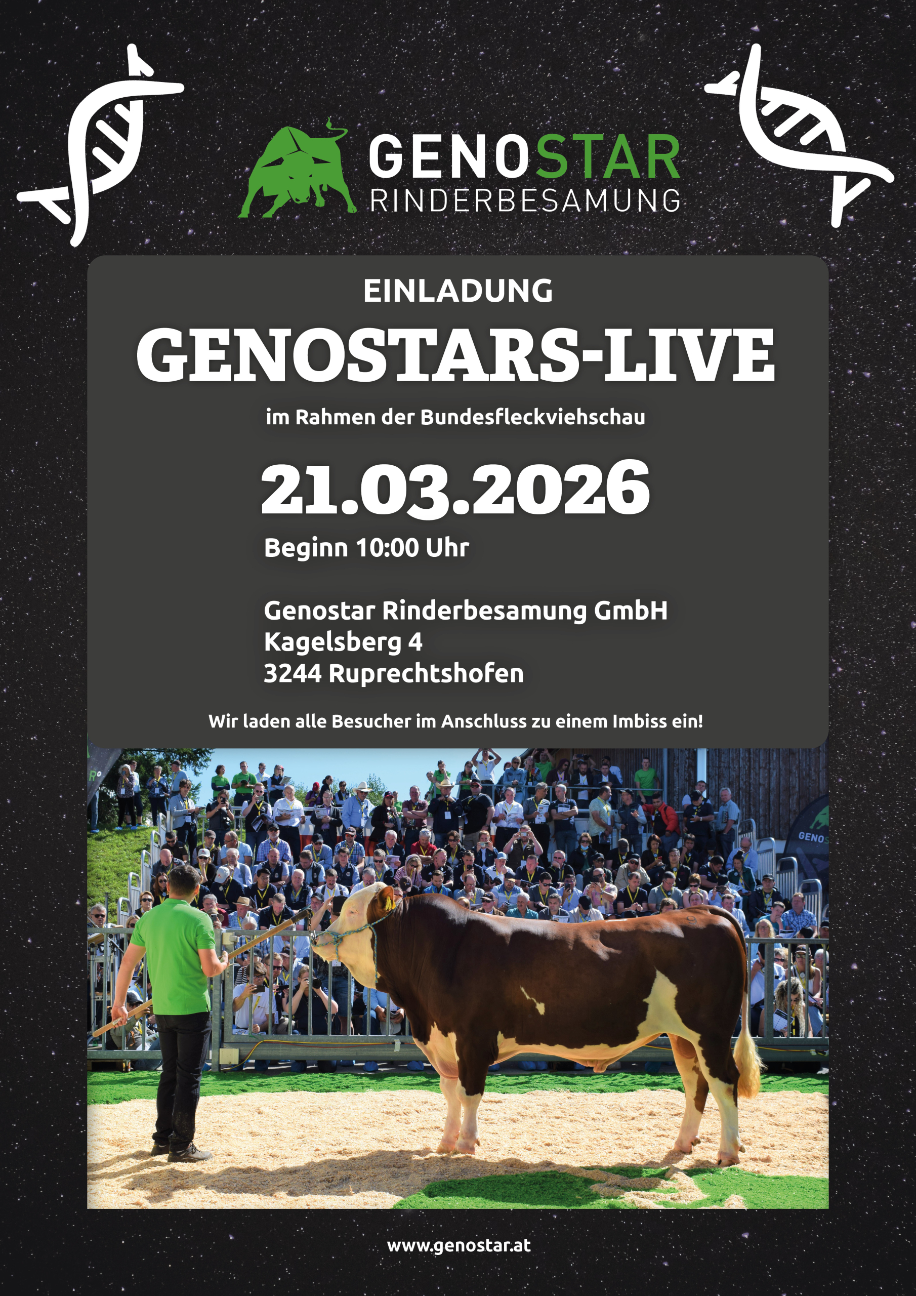 Stierpräsentation GENOSTARS-LIVE