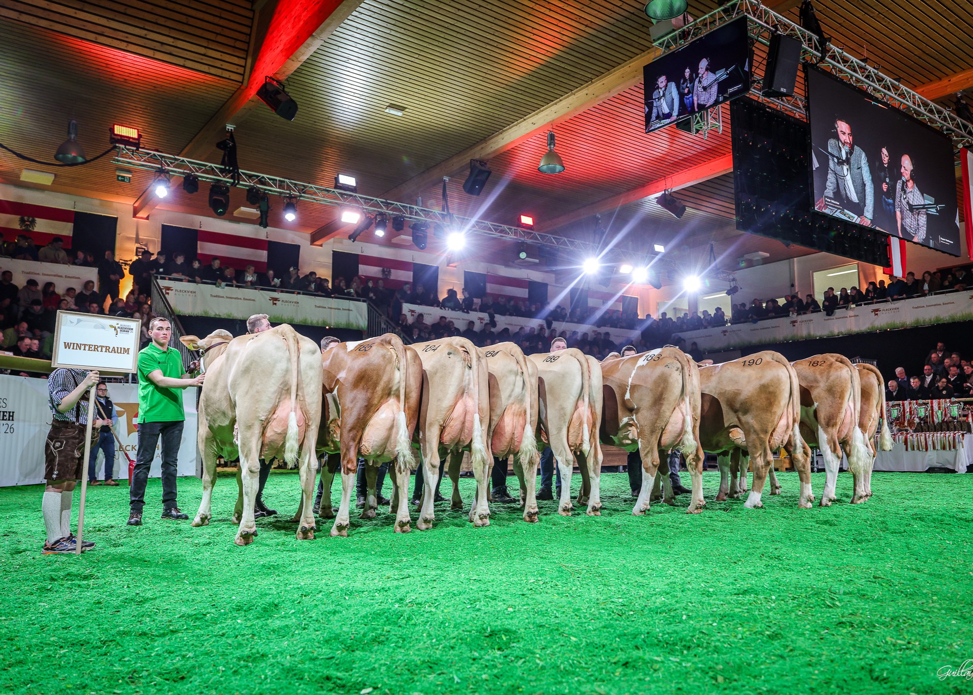 Nachzuchtgruppe WINTERTRAUM, Foto: Moy