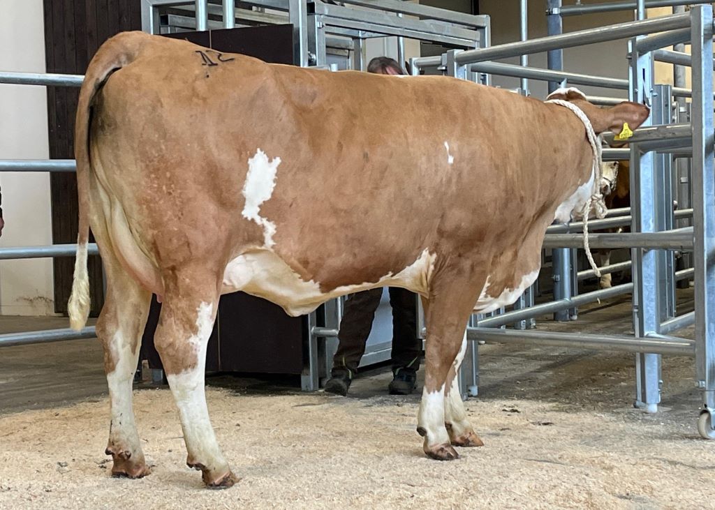 EILFORT-Tochter ZV Regau 21.04.2026