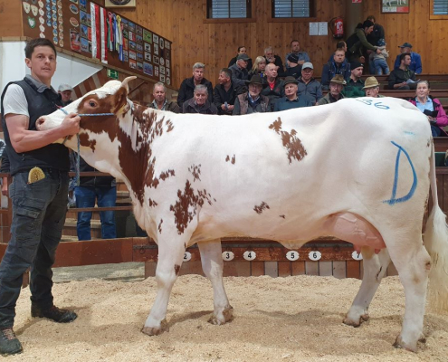 HORAZIO PS-Tochter ZV Rotholz 22.04.2026