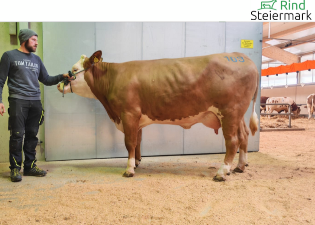 Kat. 109 GS ELGAR-Tochter ZV Greinbach 09.04.2026