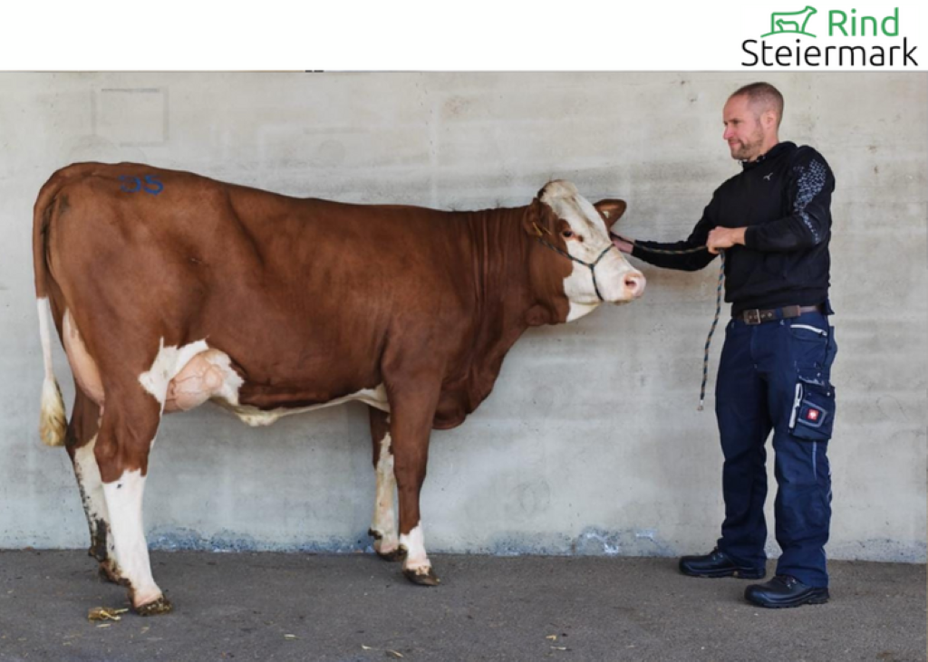 Kat.95 GS WOWARD-Tochter ZV Greinbach 09.04.2026