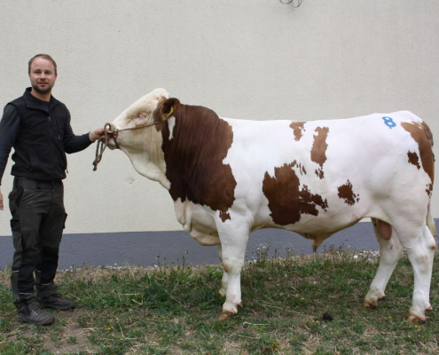 MEGASTAR Pp-Sohn ZV St. Donat 14.04.2026