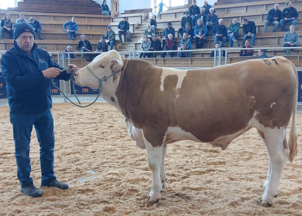 WIEDERWIND PS-Sohn ZV Ried 09.04.2026