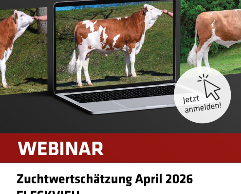 Webinar Besamungsstation Oberösterreich