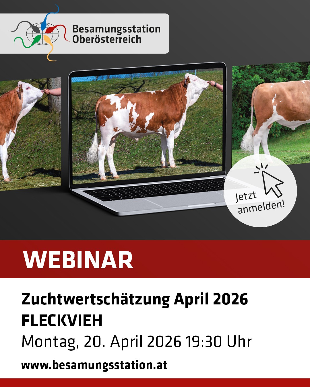 Webinar Besamungsstation Oberösterreich