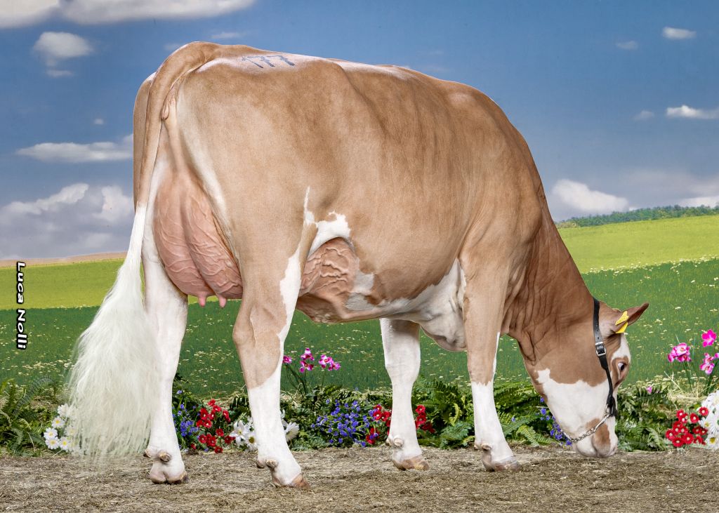 ZEISL (V: MAHINDRA P*S)