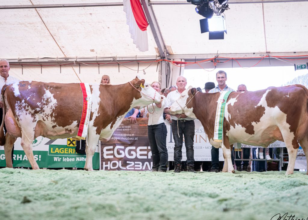 Gesamtsiegerin und Gesamteutersiegerin FV x RF: HUSQVARNA (V: Power Red), Katharina und Andreas Mair, Boaleiten, Bramberg vor ELVIRA (V: Magier), Petra u. Georg Empl, Unterhaselsberg, Neukirchen Gesamtsiegerin und Gesamteutersiegerin FV x RF: HUSQVARNA (V: Power Red), Katharina und Andreas Mair, Boaleiten, Bramberg vor ELVIRA (V: Magier), Petra u. Georg Empl, Unterhaselsberg, Neukirchen