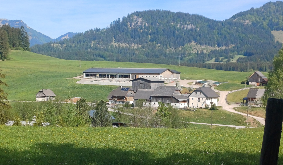 Hofstelle der Familie Hansmann, Krungl, Steiermark Hofstelle der Familie Hansmann, Krungl, Steiermark