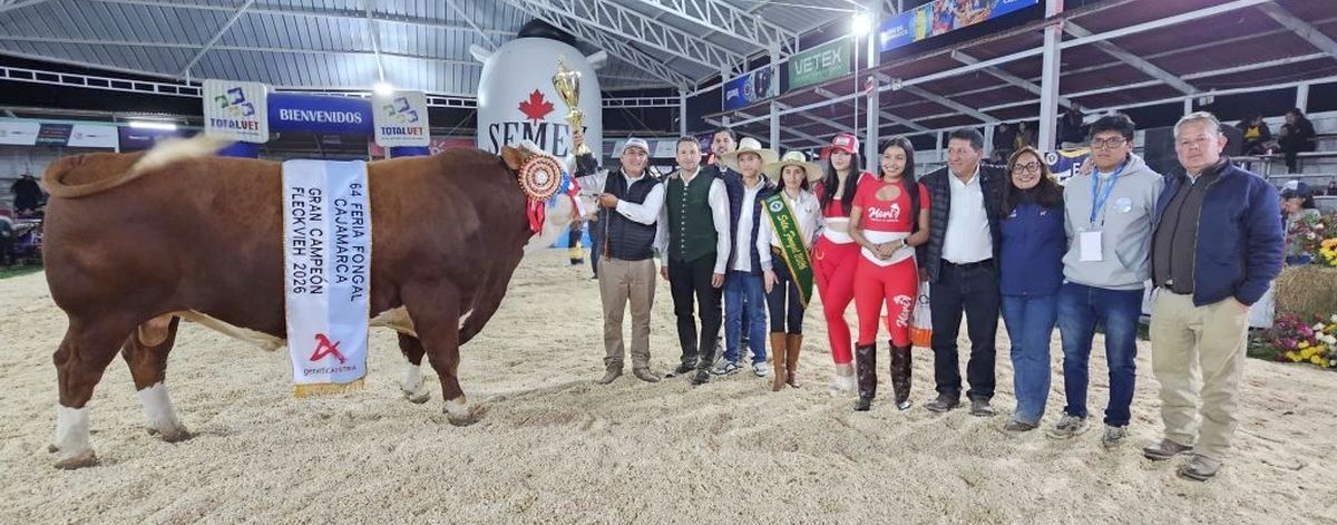 Grand Champion Männlich der Fongal in Cajamarca V: SOL DE ORO Grand Champion Männlich der Fongal in Cajamarca V: SOL DE ORO
