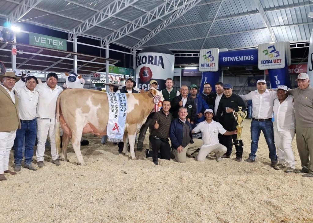 Reserve Champion Weiblich der Fongal in Cajamarca, V: MANOLO Reserve Champion Weiblich der Fongal in Cajamarca, V: MANOLO