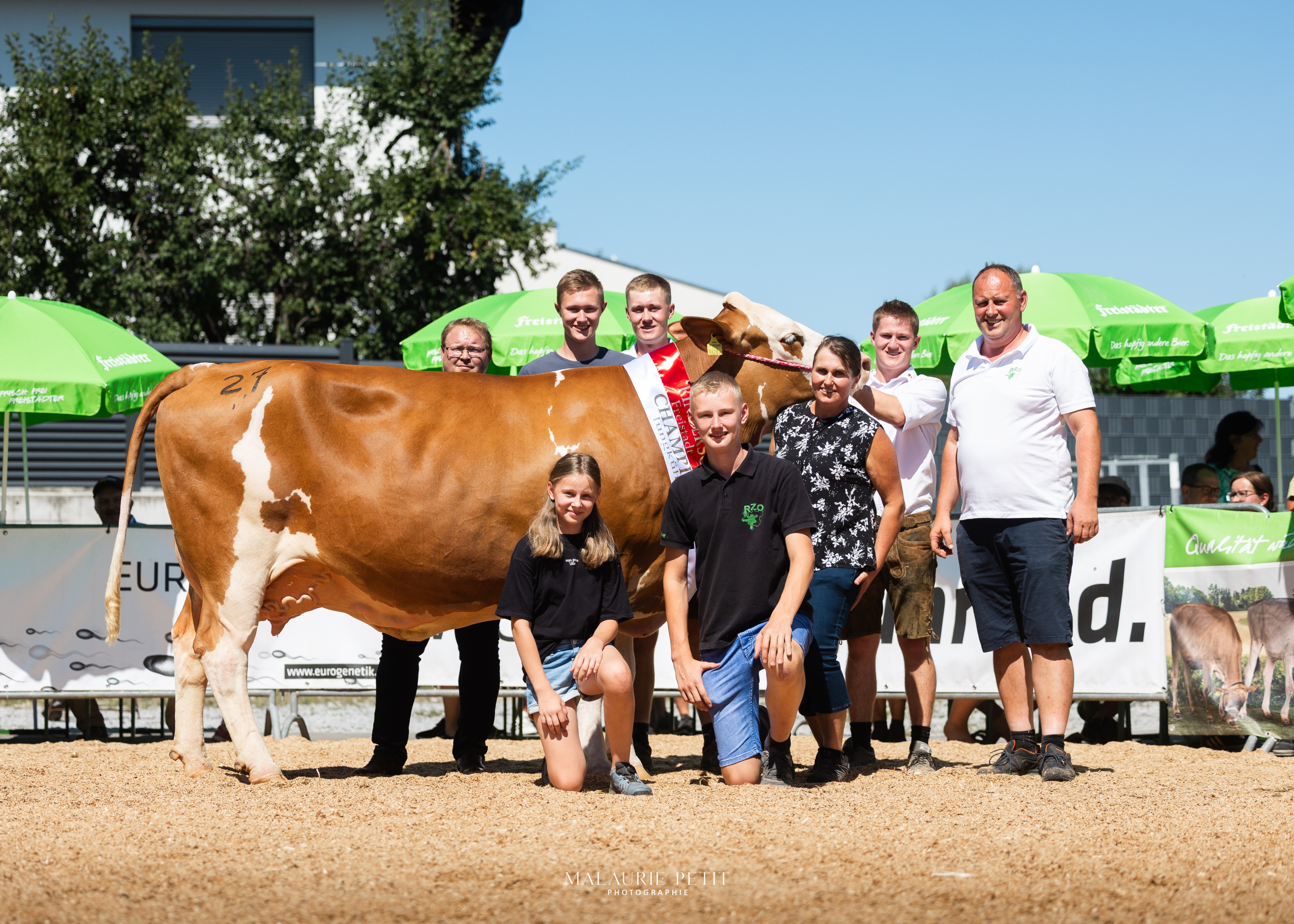 Champion der Jungkühe und Gruppensiegerin der Kühe mit 2 Abkalbungen: GUGLHUPF (V: GS der Beste) vom Betrieb Holzer Katrin und Gerhard aus Pabneukirchen Champion der Jungkühe und Gruppensiegerin der Kühe mit 2 Abkalbungen: GUGLHUPF (V: GS der Beste) vom Betrieb Holzer Katrin und Gerhard aus Pabneukirchen