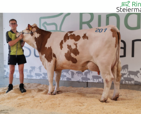 SIDNEY-Tochter ZV Traboch 06.08.2026