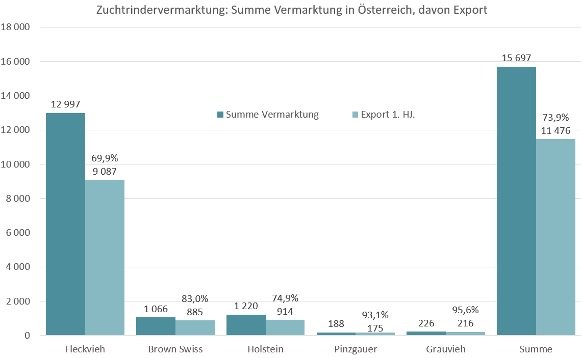 Zuchtrindervermarktung Zuchtrindervermarktung