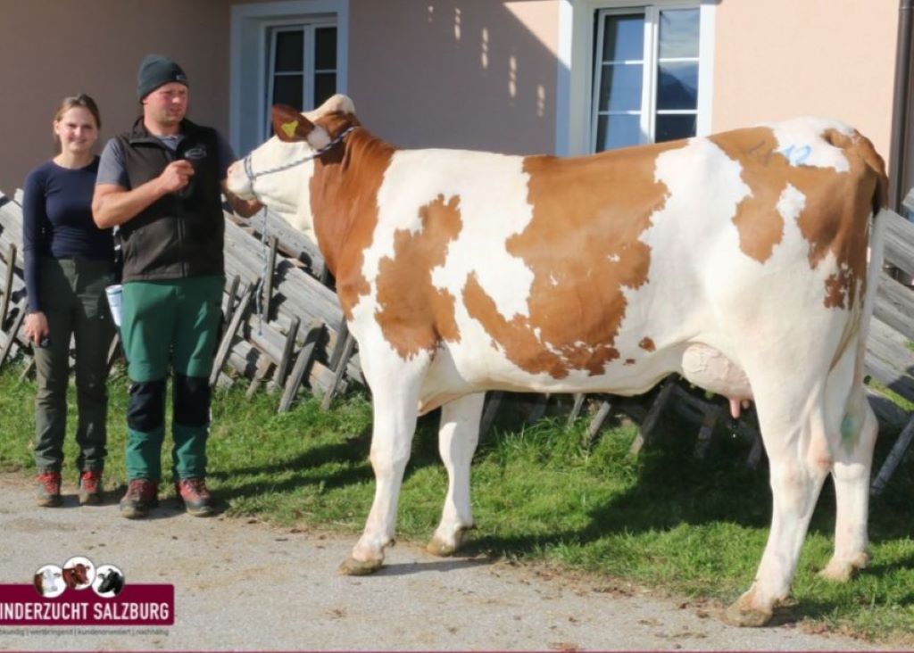 NOELCERNEU-Tochter ZV Maishofen 15.10.2026