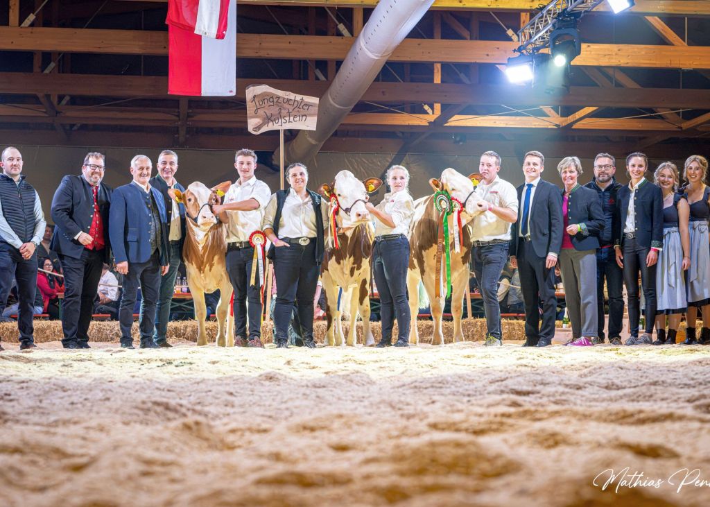 Typ-Champions Kalbinnen Fleckvieh Kreuzung Typ-Champions Kalbinnen Fleckvieh Kreuzung