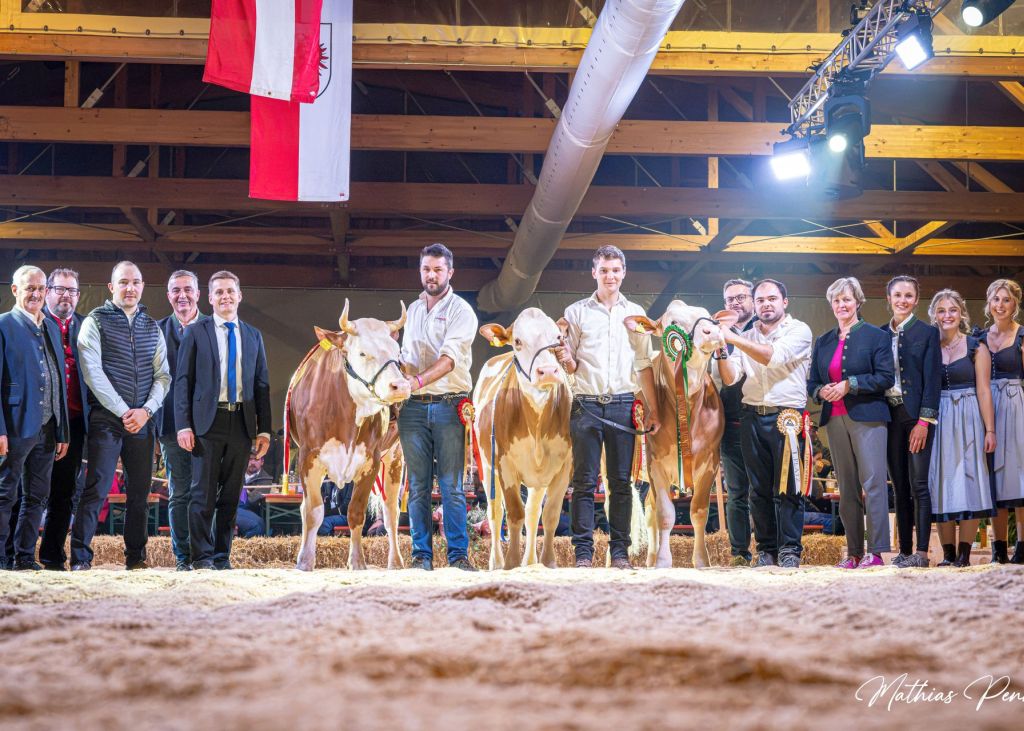 Typ-Champions Kalbinnen Fleckvieh Typ-Champions Kalbinnen Fleckvieh