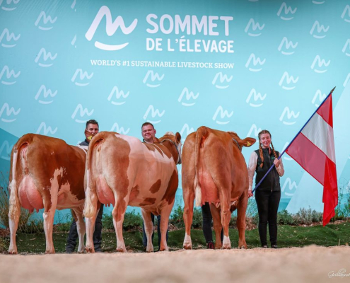 Im Nationenbewerb präsentierte sich die österreichische Gruppe auf hohem Niveau
