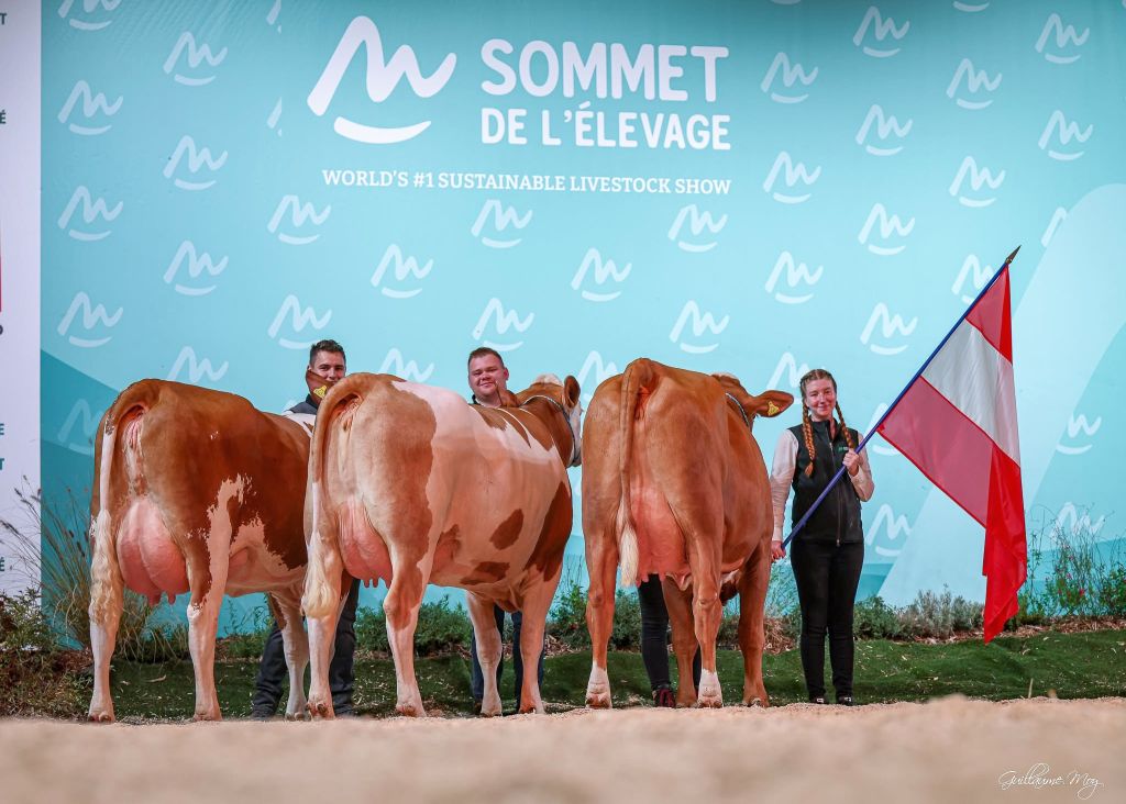 Im Nationenbewerb präsentierte sich die österreichische Gruppe auf hohem Niveau